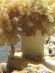 IMG_1926.jpg