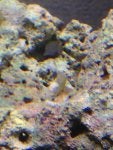 IMG_1925.jpg