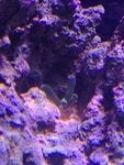 IMG_2232.jpg